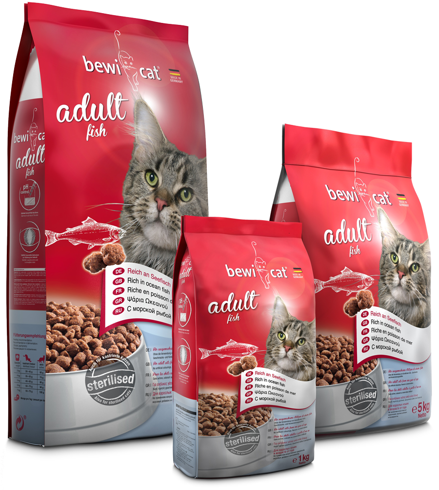 Bewicat-adult-fish-Composing Bewicat-adult-fish-Composing