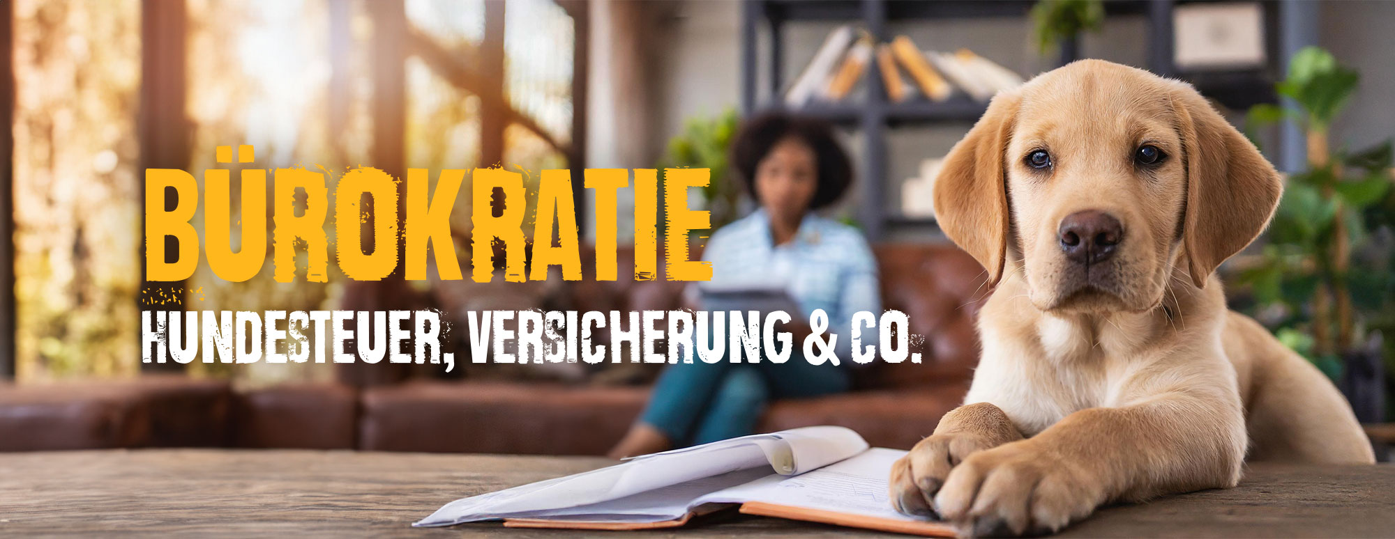 Der "bürokratische Welpe" - Hundesteuer, Hundeversicherung & Co. buerokratie-welpen-versicherung-und-steuer