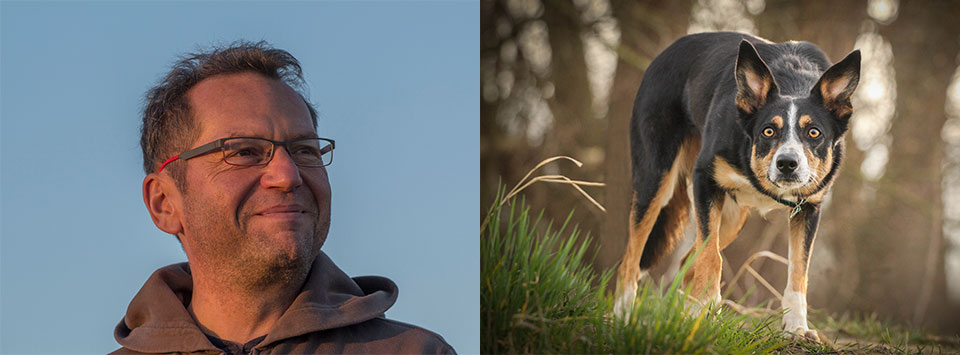 ausbildung-von-huetehunden-bei-schafland ausbildung-von-huetehunden-bei-schafland