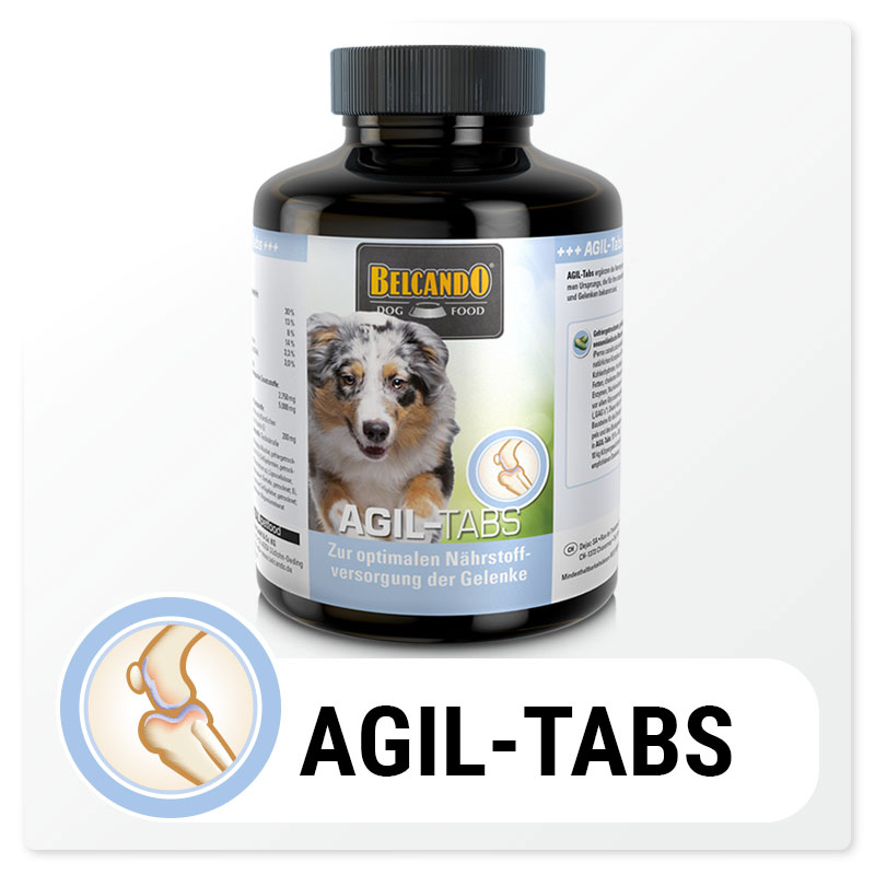 bb-agil-tabs-button-800px