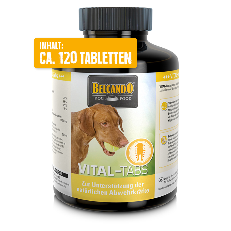 bb-vital-tabs-front-120