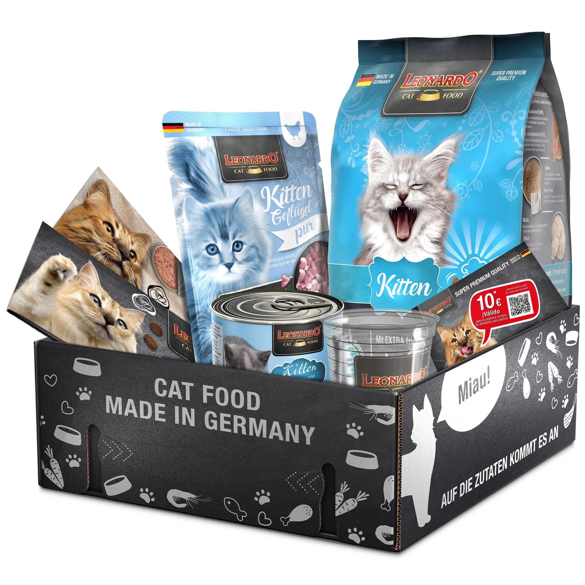 bl-klp-2025-kitten-es