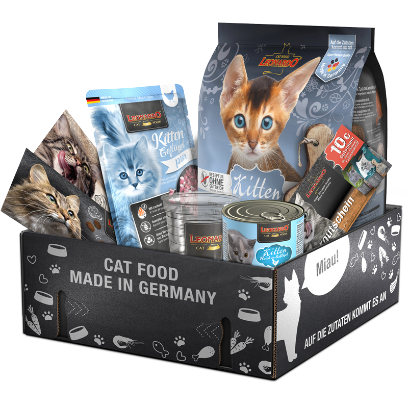 bl-klp-2023-adult-kitten-gf-800px