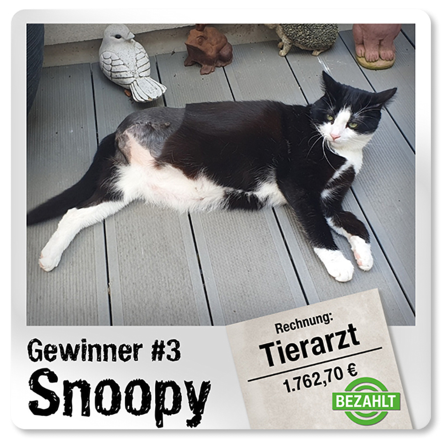 Gewinner-Snoopy-Polaroid Gewinner-Snoopy-Polaroid