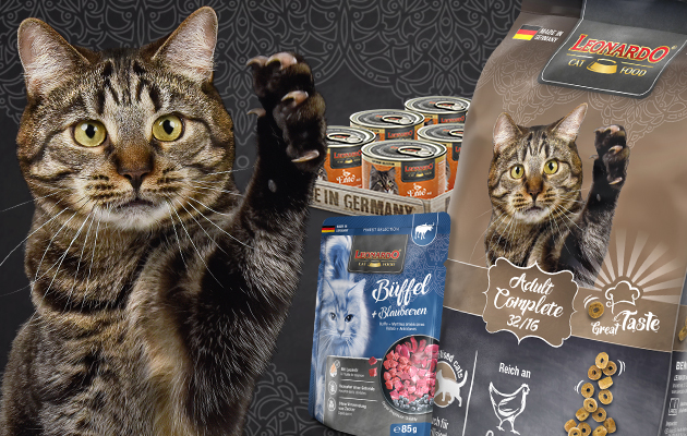 bl-kategorie-adult-mobile-header