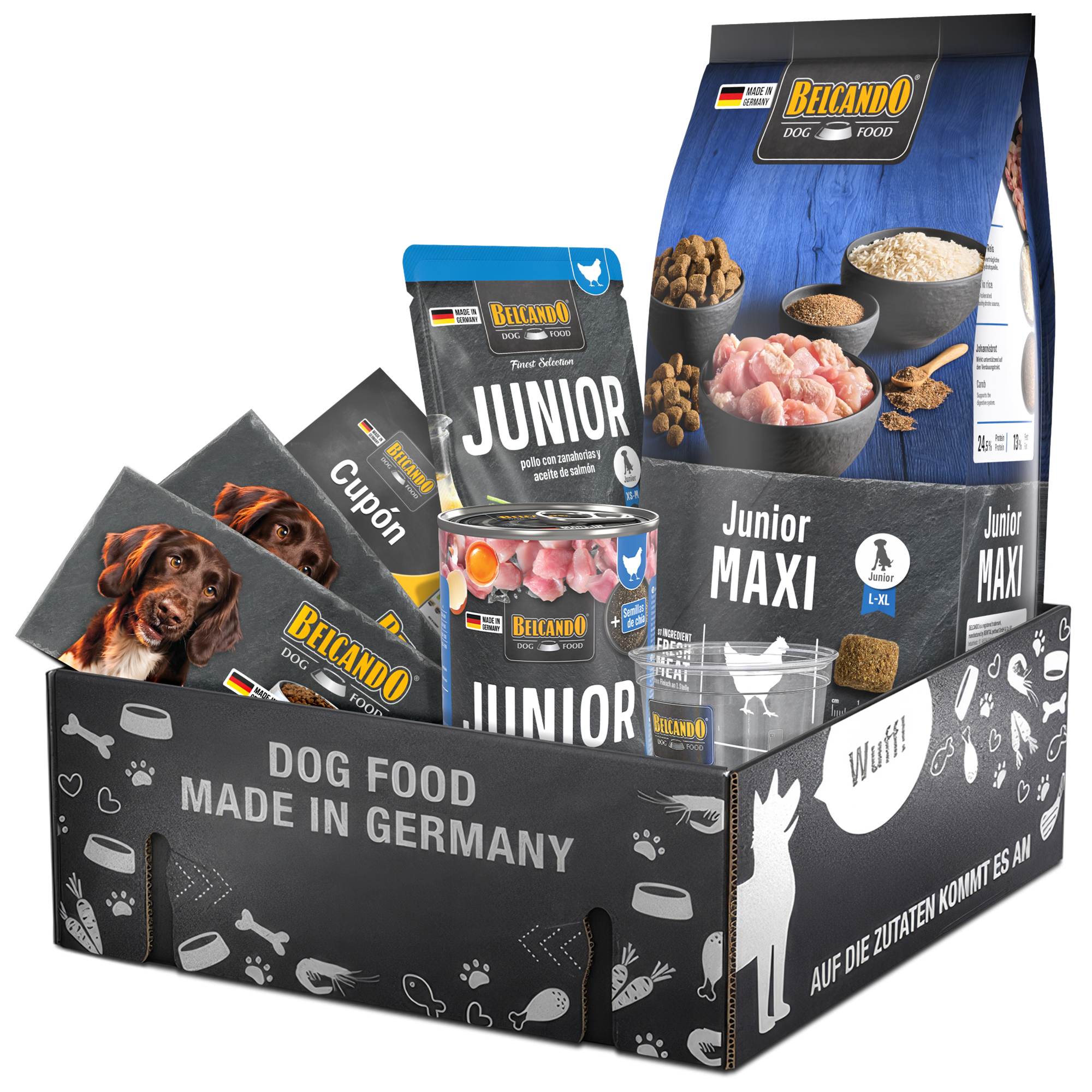 Dog Box BELCANDO Junior Maxi Spanien