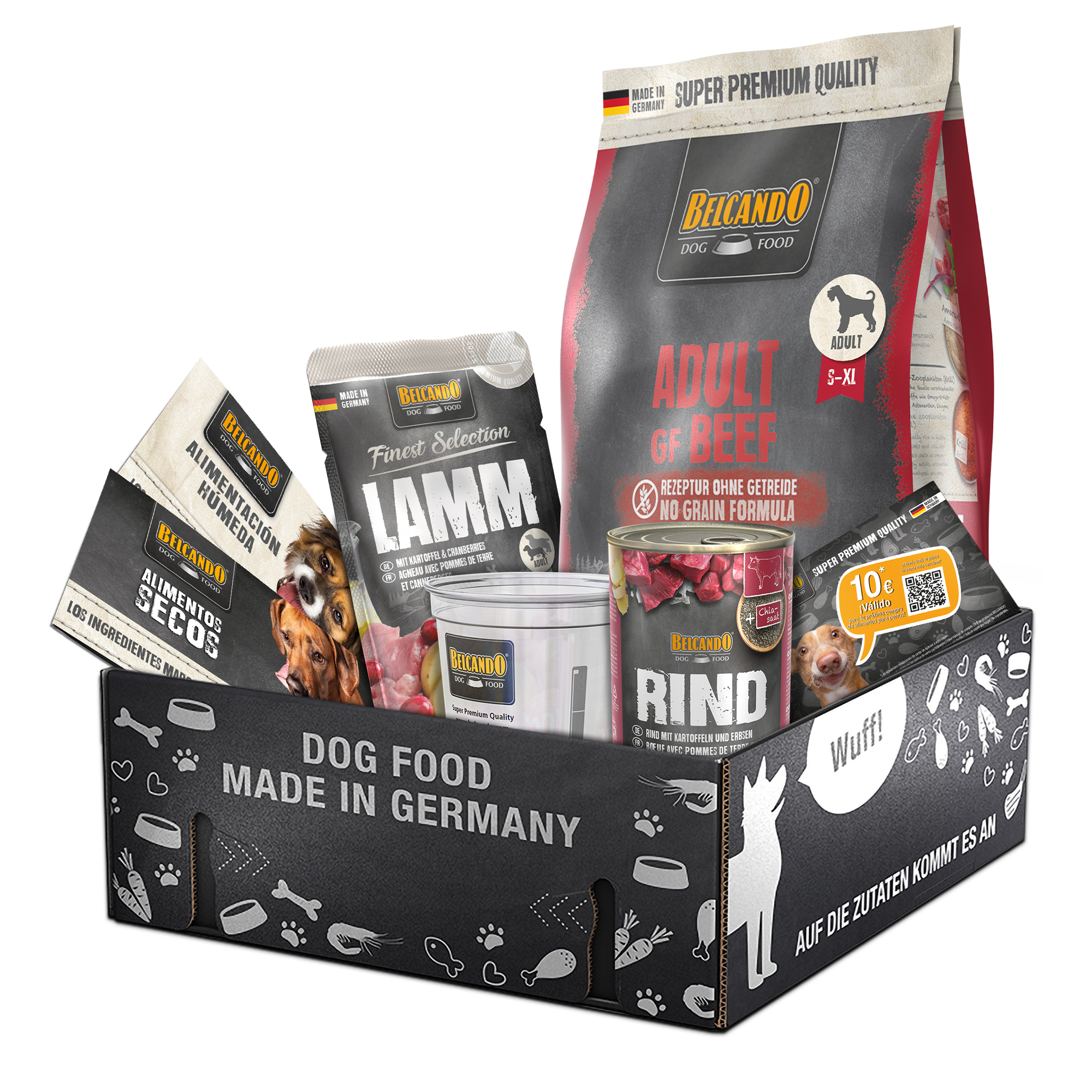 bb-klp-2023-adult-gf-beef-es-800px