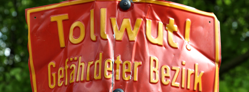 Header-Tollwut Header-Tollwut