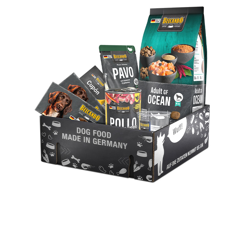 Caja de prueba BELCANDO Adult GF Ocean Caja de prueba BELCANDO Adult GF Ocean