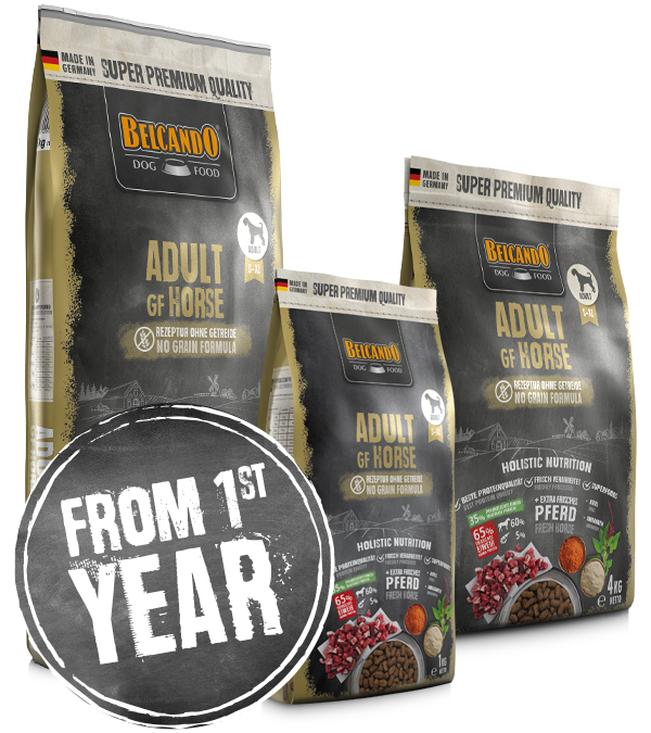 belcando-gf-horse-wochenanzeige-gb