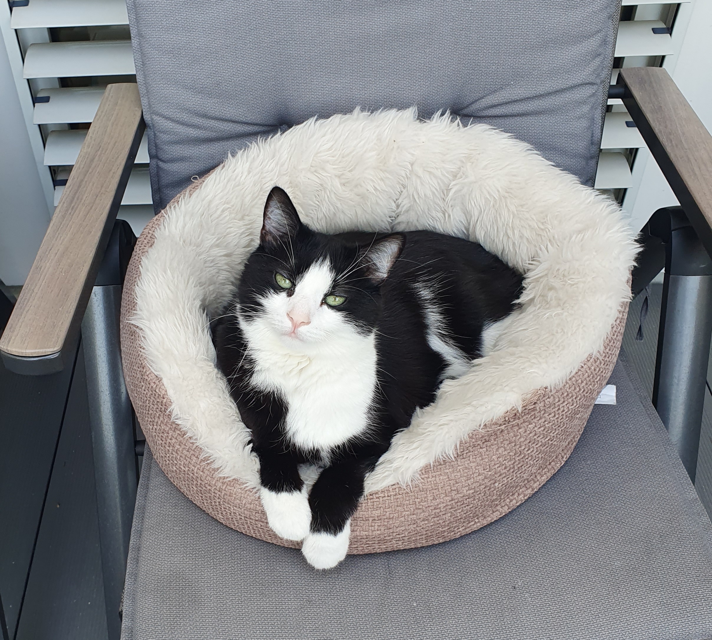 Gewinner-Snoopy2 Gewinner-Snoopy2