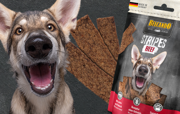 Belcando Snacks Stripes Beef