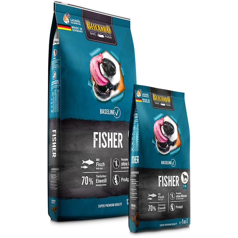 bb-baseline-trockenfutter-fisher-composing-li-800px