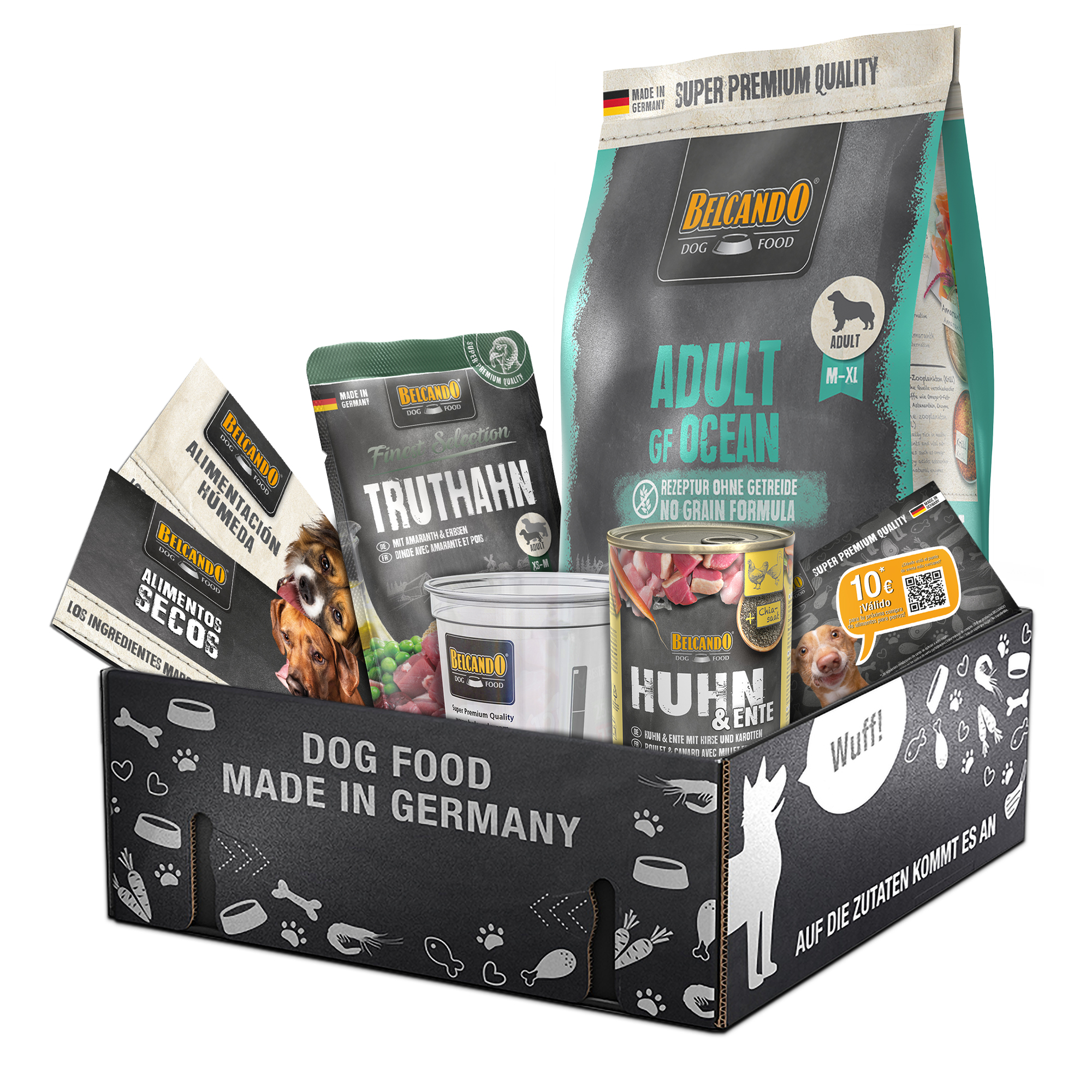 bb-klp-2023-adult-gf-ocean-es-800px