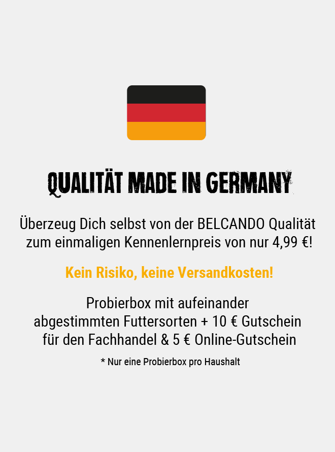 bb-interstitials-madeingermany-dark-desktop