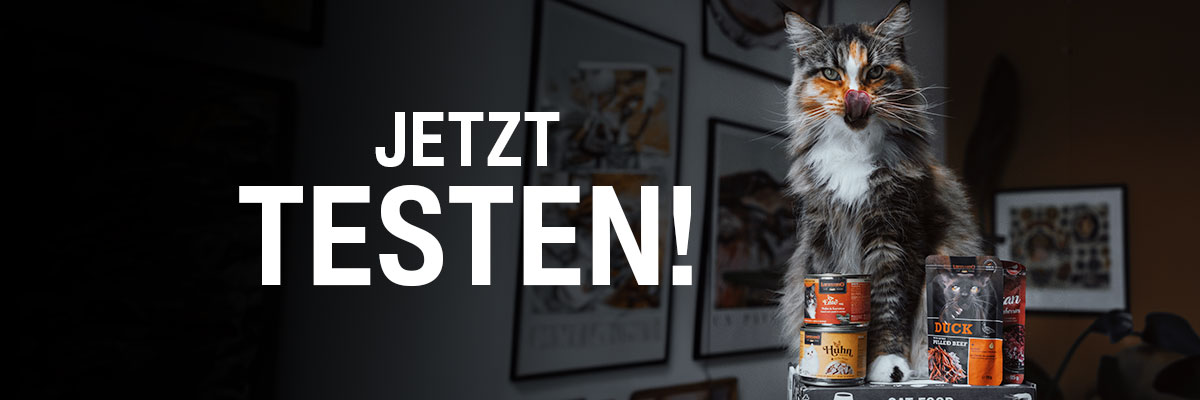 bl-klp-lp-desktop-header