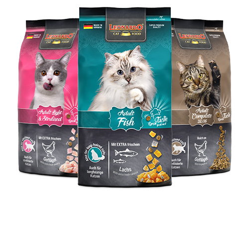 bl-fast-nav-classic-2024-white