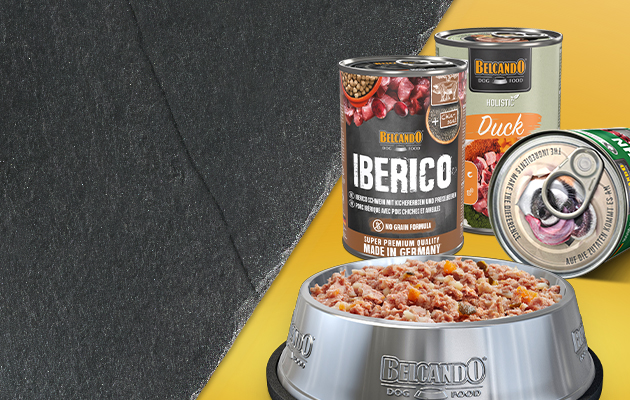 Produktübersicht Belcando Nassfutter aller Linien 