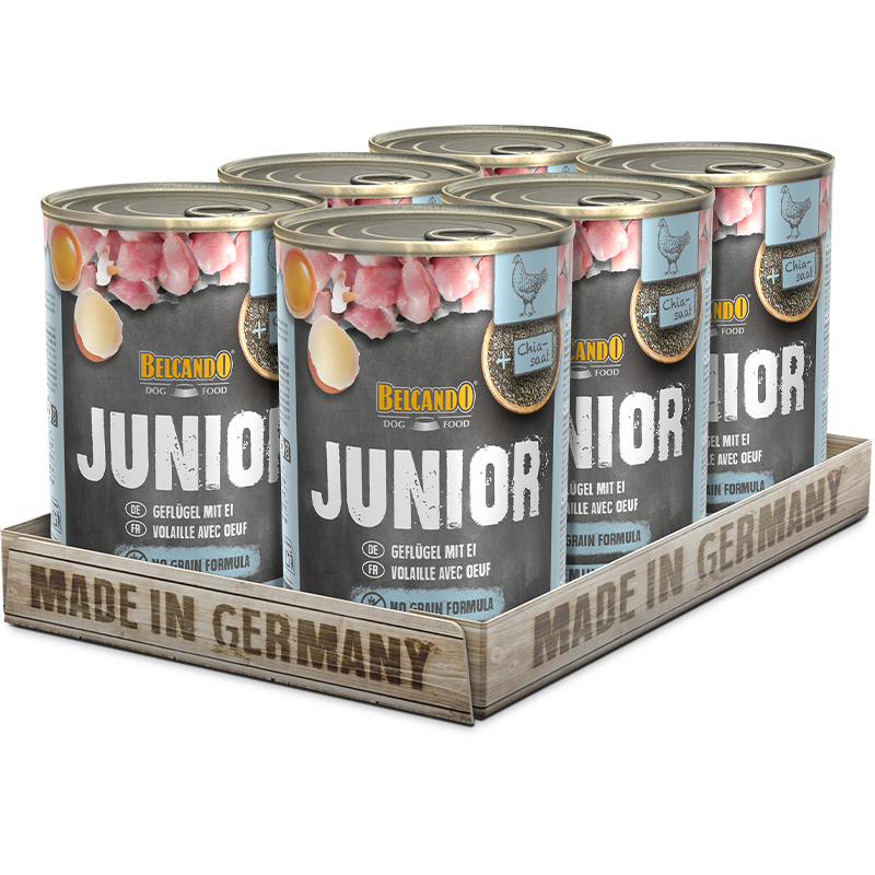 BELCANDO Junior Geflügel mit Ei  bb-dose-super-premium-junior-400g-tray