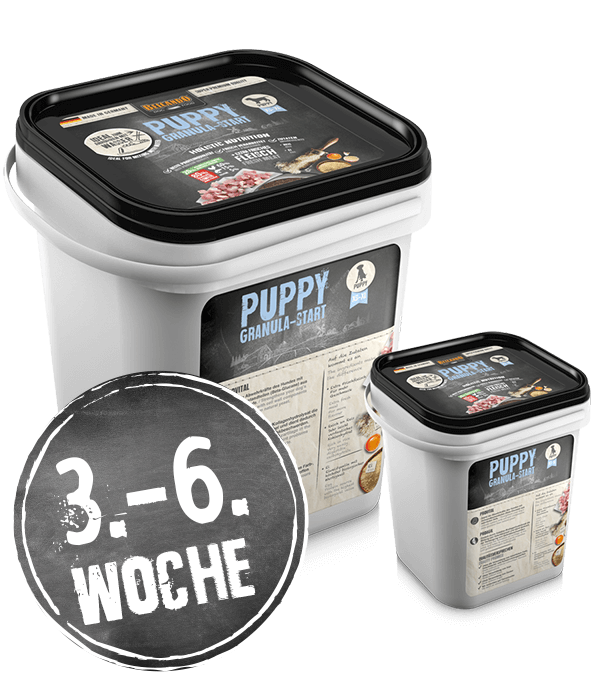 3. - 6. Woche 3. - 6. Woche