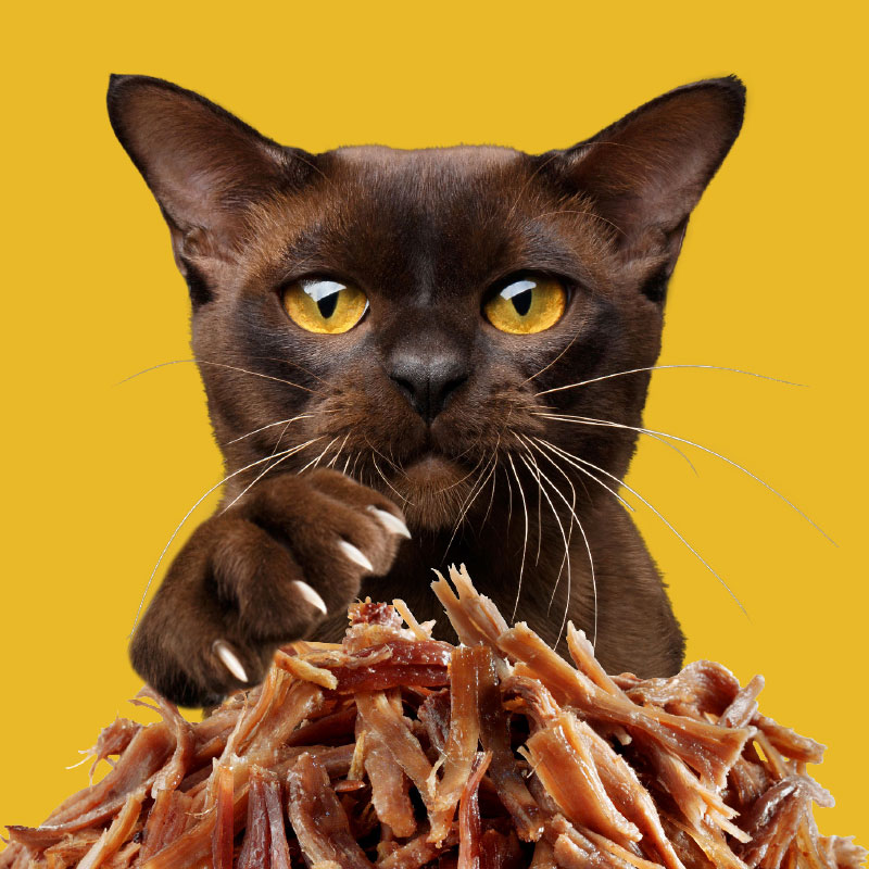 pulled-beef-teaser