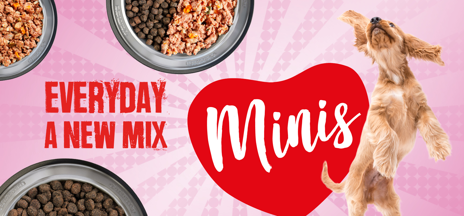 m100090-bb-header-mini-finest-1