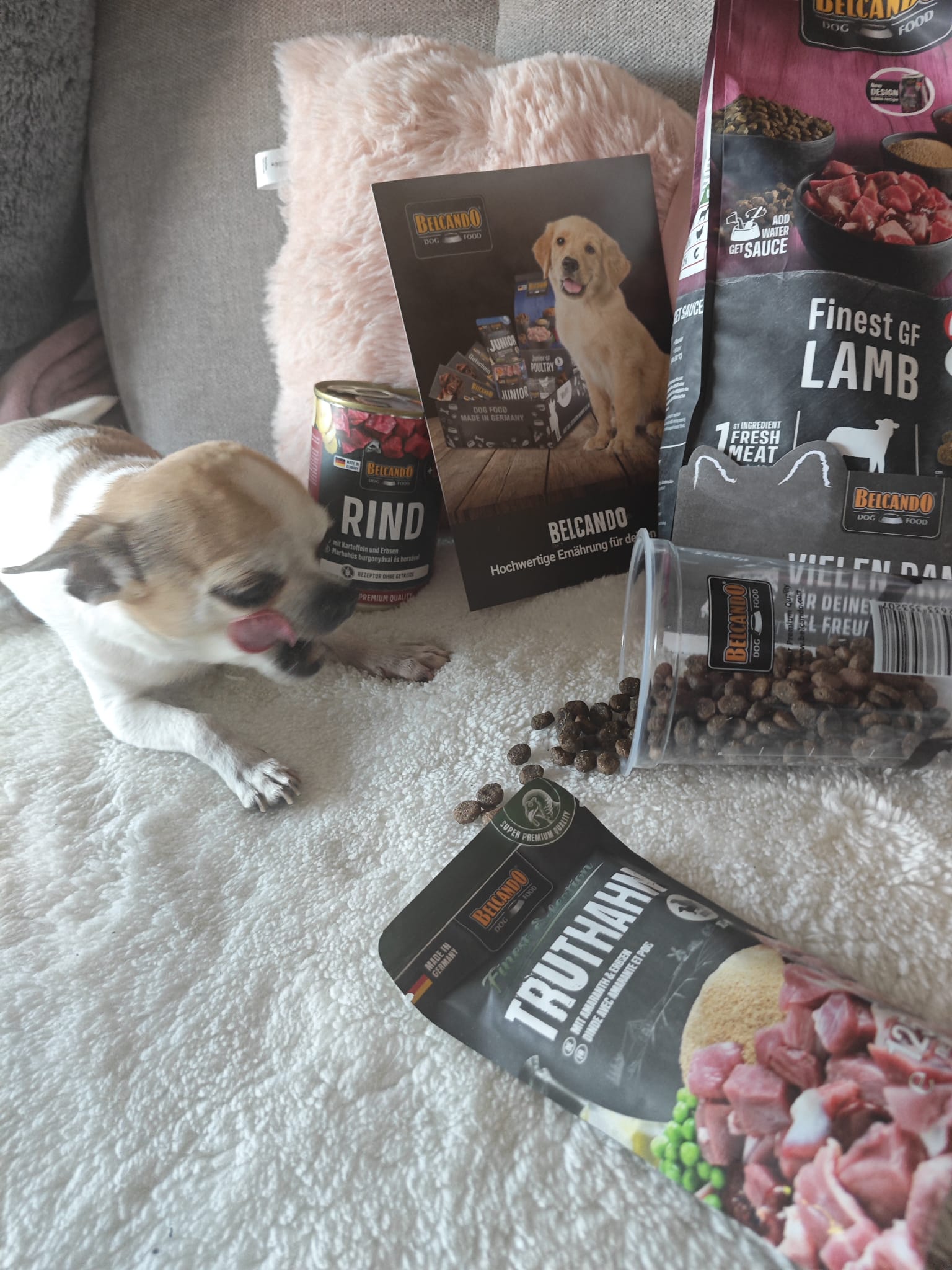 Dog Box BELCANDO Finest GF Lamb