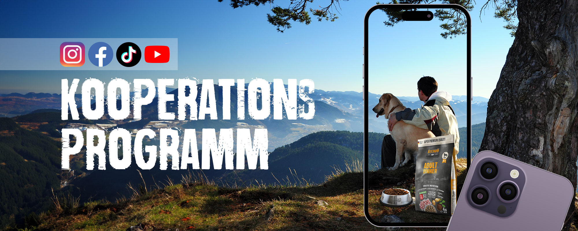 p101869-bb-ambassador-header3