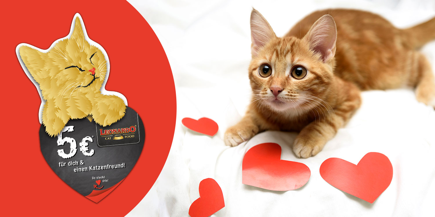 checkforpet-header