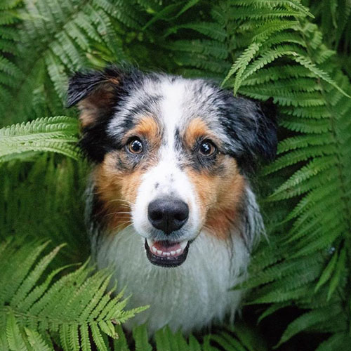 @hermines-world @hermines-world