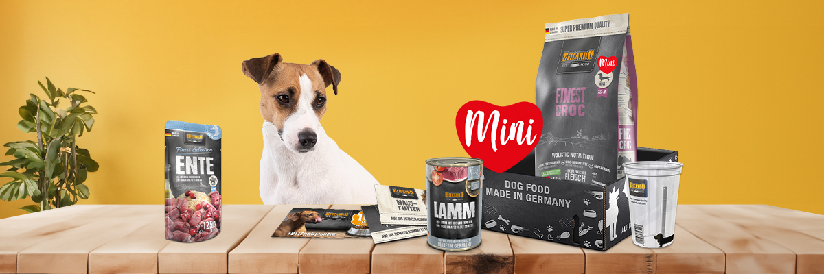 Belcando Probierbox Mini-Linie Belcando Probierbox Mini-Linie