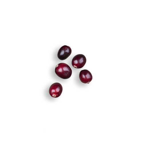 Cranberries