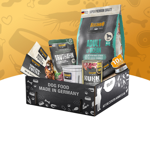 Probierbox Belcando Adult GF Ocean mit Trocken und Nassfutter Probierbox Belcando Adult GF Ocean mit Trocken und Nassfutter