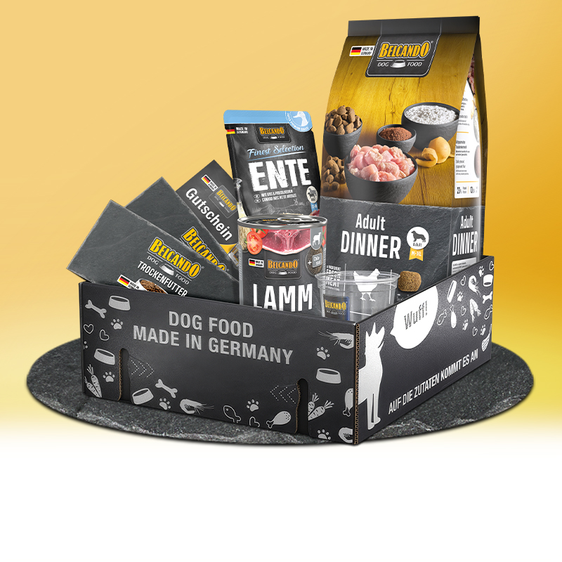 Probierbox Belcando Adult GF Ocean mit Trocken und Nassfutter Probierbox Belcando Adult GF Ocean mit Trocken und Nassfutter