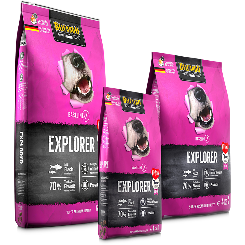 bb-baseline-trockenfutter-explorer-composing-li-800px