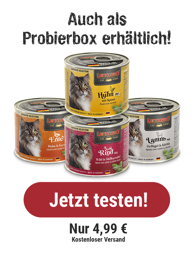 Auch als Probierbox erhältlich Button