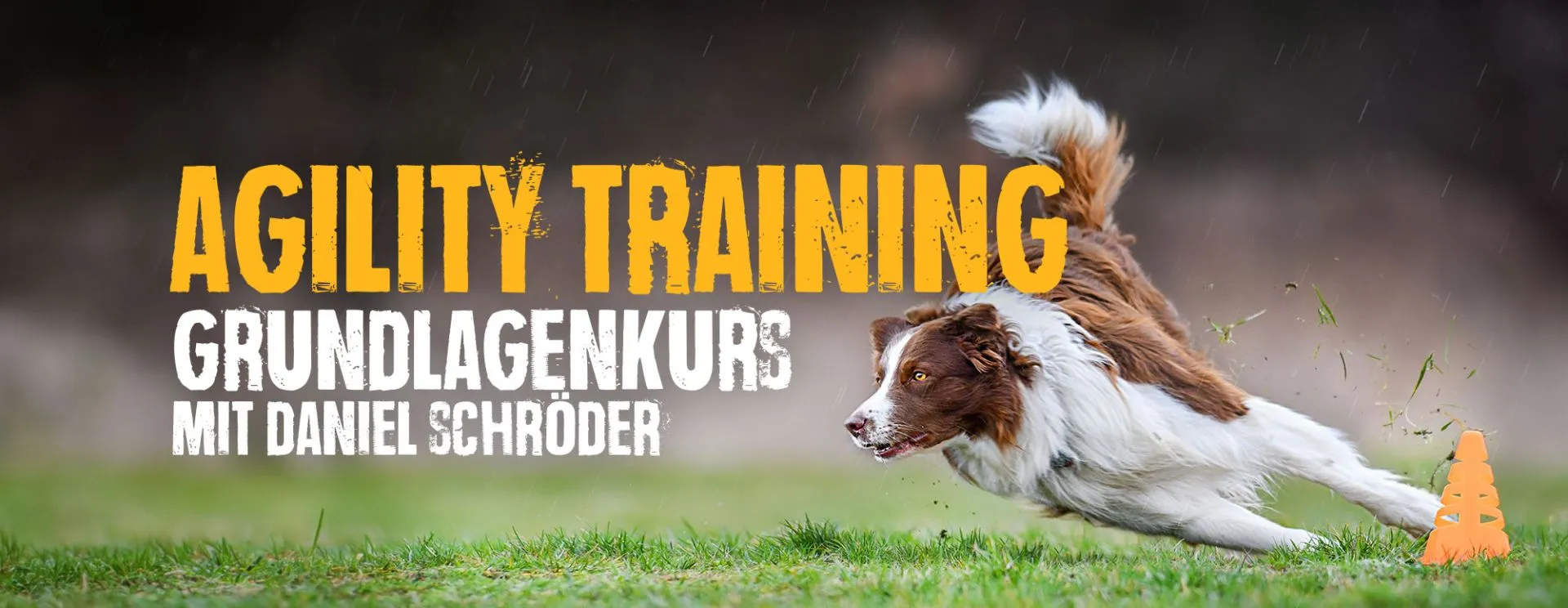 bb-blog-agility-header_1920x1920