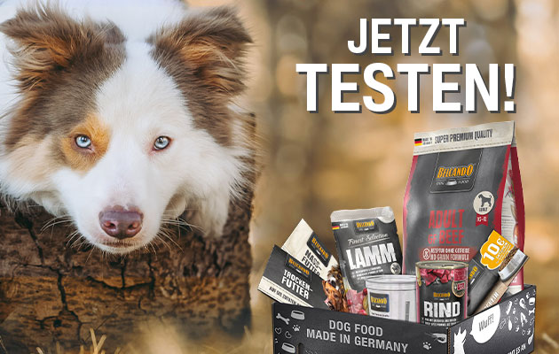 bb-klp-2024-mobile-header-V2