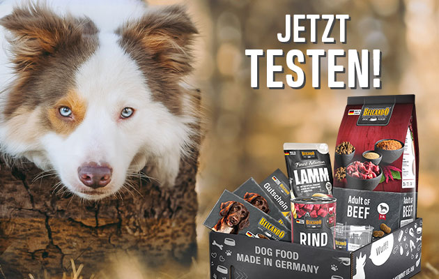 bb-klp-2024-mobile-header-V2