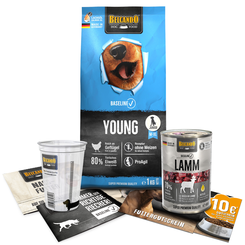 DOG BOX BELCANDO® Baseline Young