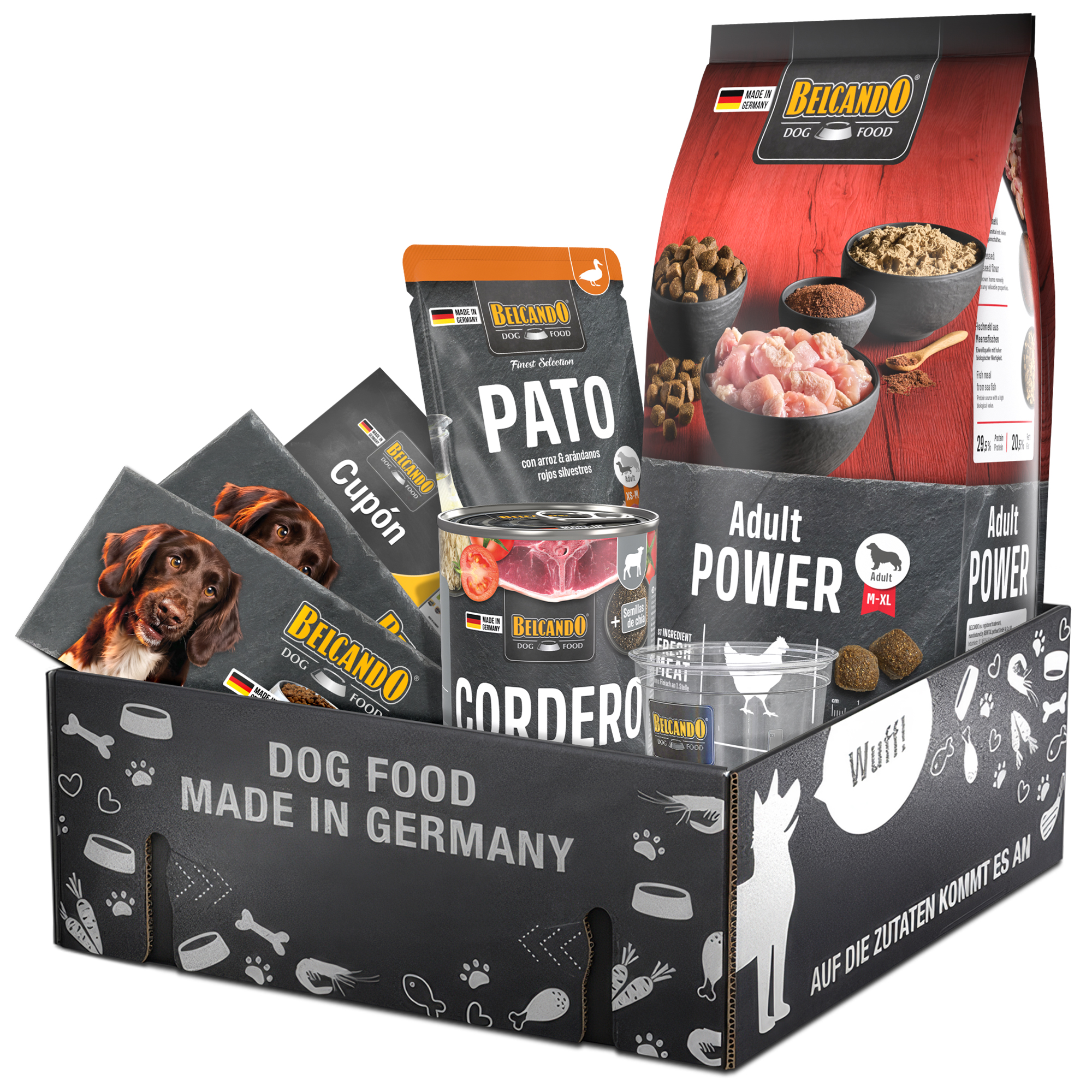 Dog Box BELCANDO Adult Power Spanien