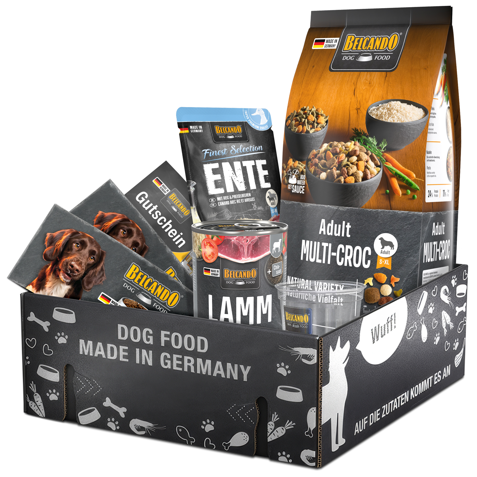 Dog Box BELCANDO Adult Multi-Croc Dog Box BELCANDO Adult Multi-Croc
