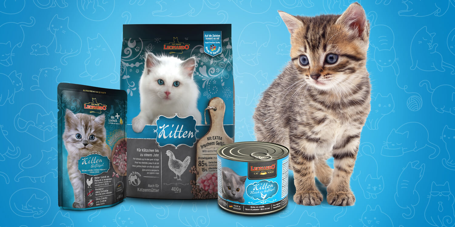 kittenbox-international-header