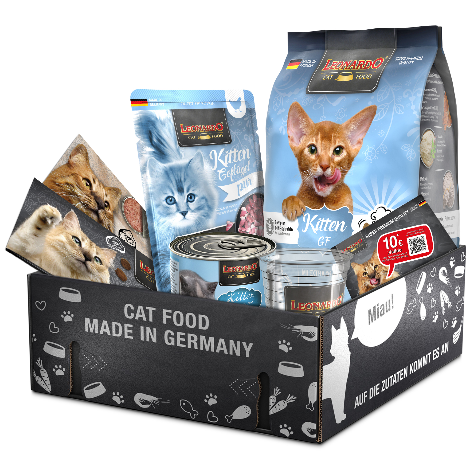 bl-klp-2025-kitten-gf-es