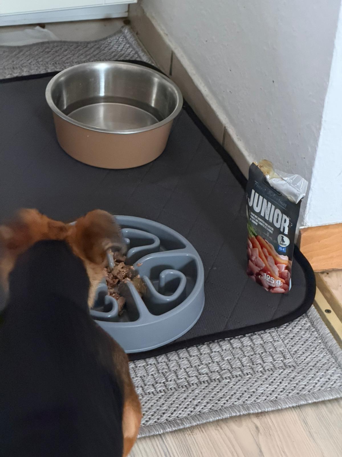 Dog Box BELCANDO Junior GF Poultry