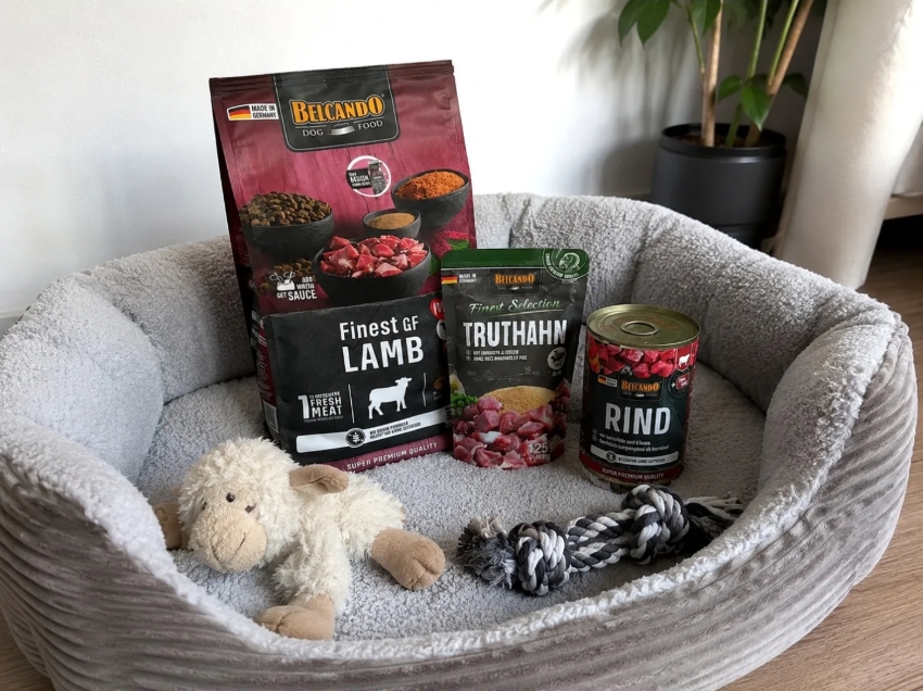 BELCANDO MASTERCRAFT Dog Box FRESH LAMB BELCANDO MASTERCRAFT Dog Box FRESH LAMB