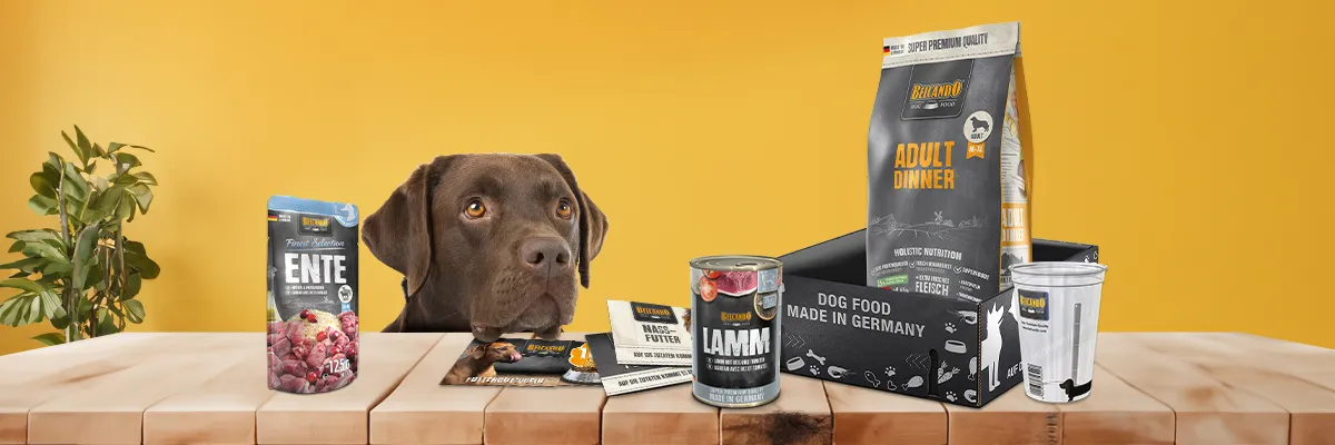 bb-kategorie-klp-classic-desktop-header_1920x1920