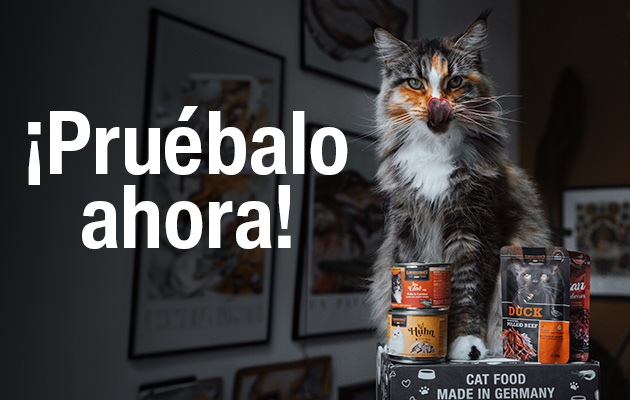 bl-klp-lp-mobile-header-neu