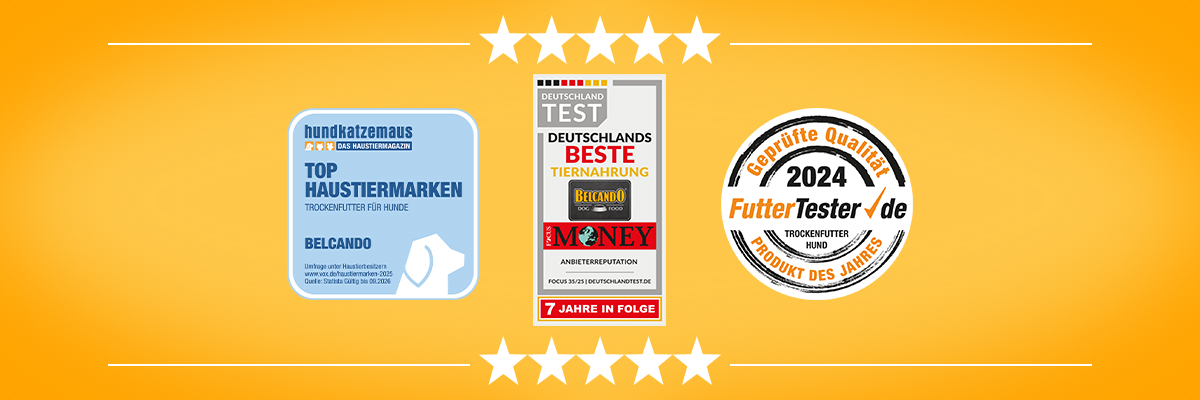 Drei verschiedene Awards auf einem orangenen Hintergrund