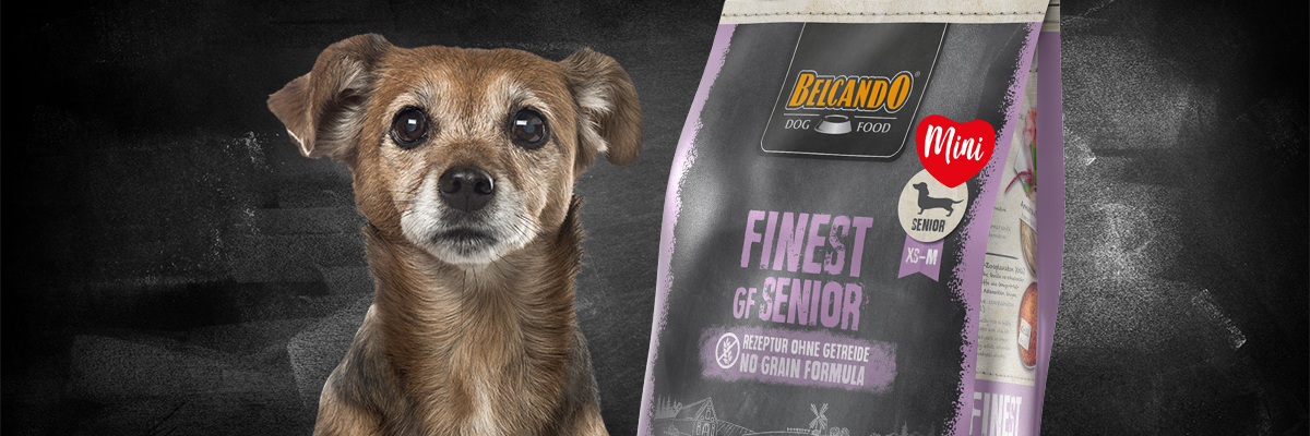 BELCANDO Senior
